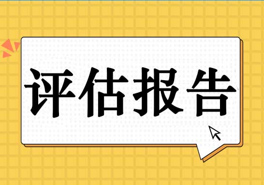 評估報告